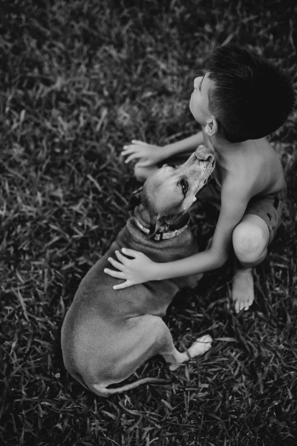 A boy sitting on grass, hugging and kissing a dog.
