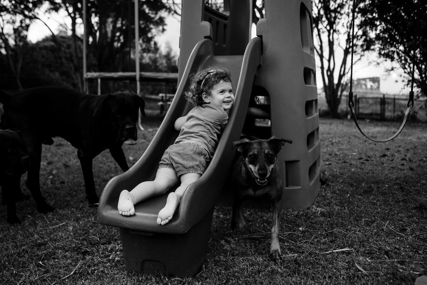 A young child with curly hair and barefoot, sitting on a slide in a park, surrounded by dogs, with trees and a fence in the background.
