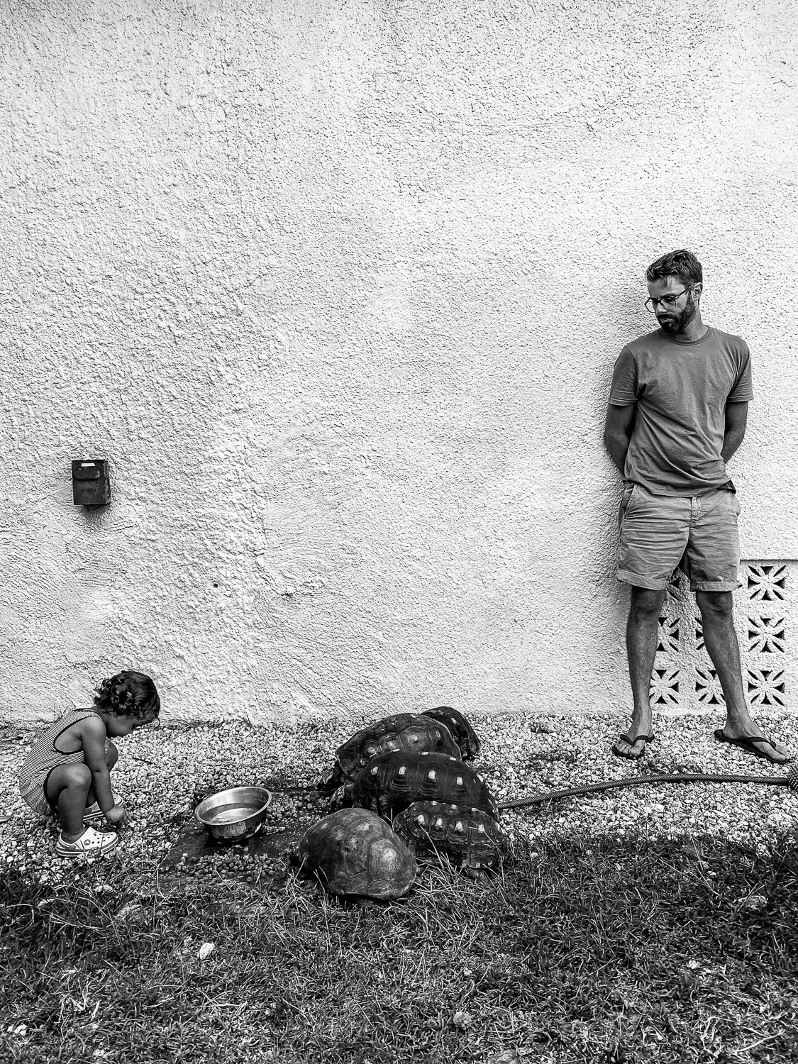 A man and a small girl near a wall with five turtles, a metal bowl, and a hose on the ground.