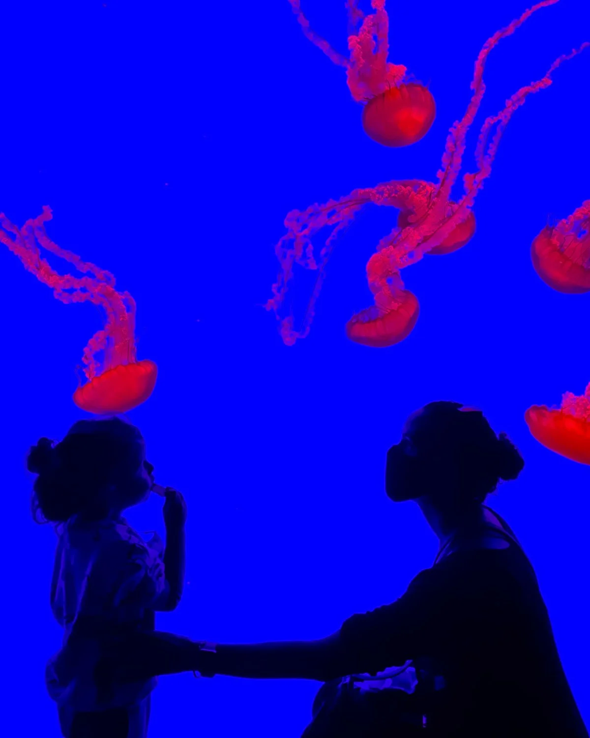 Silhouettes of a woman and a girl holding hands, with jellyfish swimming in a blue background.