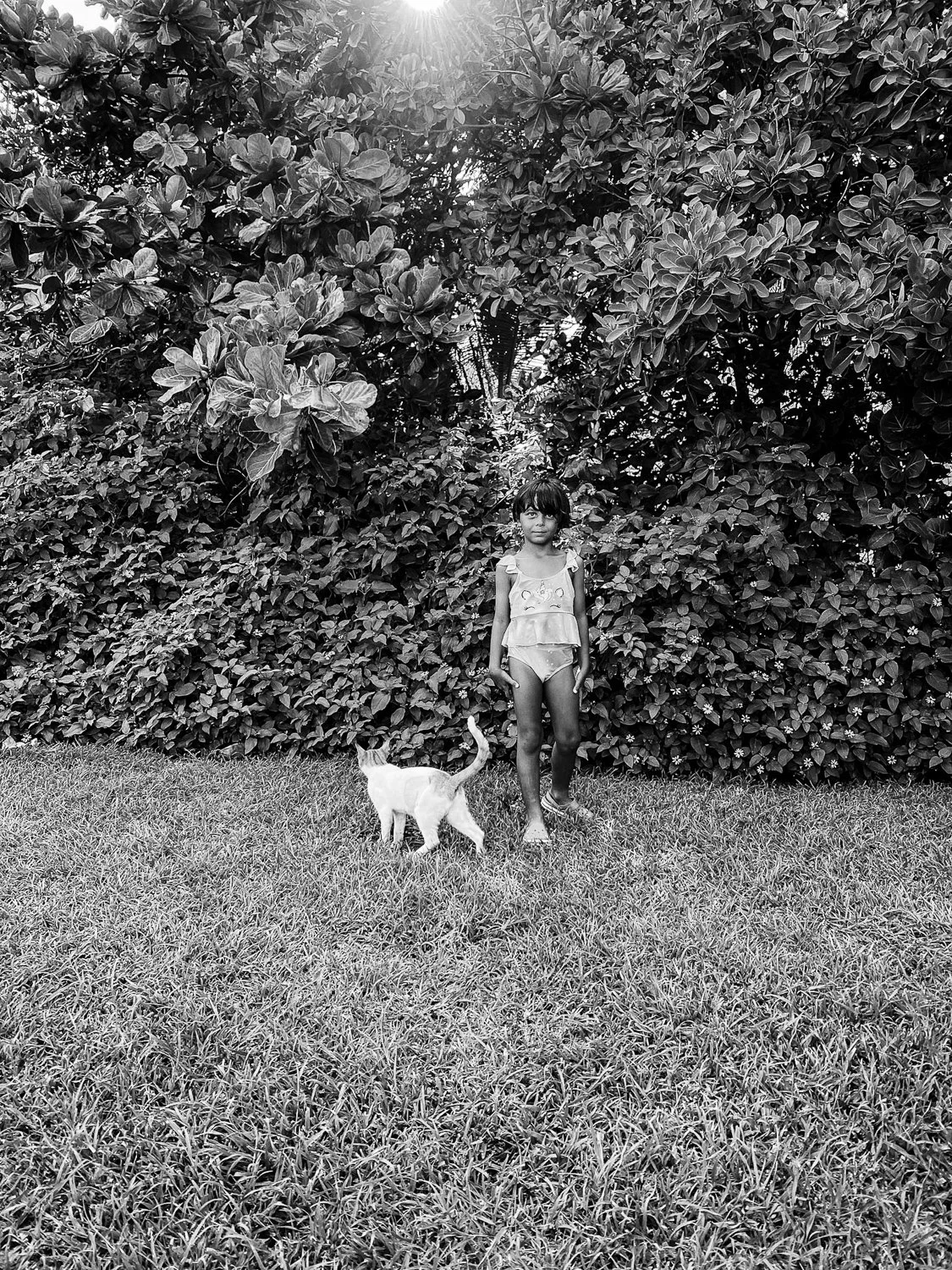 A young girl walking on a grassy lawn with a small white dog. Behind them is a large bush and trees with dense foliage, and sunlight filtering through.