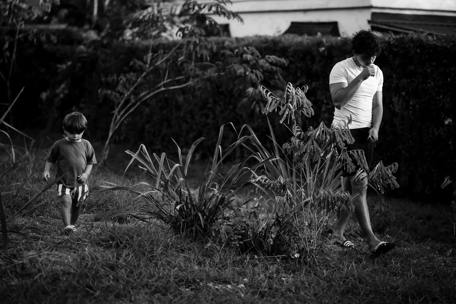 A black and white photo of a man and a young boy walking through a grassy area with plants and trees. The man, wearing a white t-shirt and slides, is looking at something in his hand, while the boy, in a t-shirt and striped shorts, walks ahead, looki